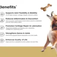 Ecora Flexivet Tablets, Advanced Joint comfort Tablets, 10 Tablets at ithinkpets.com 3