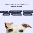 Fur Ball Story Blink Ease Eye Drops For Dogs, 10 ML at ithinkpets.com 3