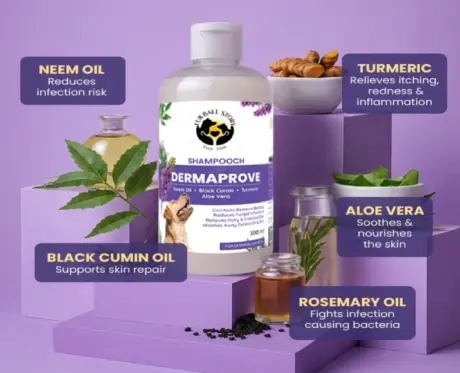 Fur Ball Story Dermaprove Shampooch, Antifungal Dog Shampoo, 200 ML at ithinkpets.com 2
