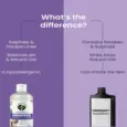 Fur Ball Story Dermaprove Shampooch, Antifungal Dog Shampoo, 200 ML at ithinkpets.com 5