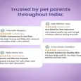Fur Ball Story Dermaprove Shampooch, Antifungal Dog Shampoo, 200 ML at ithinkpets.com 7