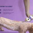 Fur Ball Story Dermaprove Shampooch, Antifungal Dog Shampoo, 200 ML at ithinkpets.com 8
