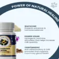 Fur Ball Story Mama Paws Supplement for Lactating Dogs & Cats, 60 Tablets at ithinkpets.com 5