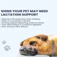 Fur Ball Story Mama Paws Supplement for Lactating Dogs & Cats, 60 Tablets at ithinkpets.com 8