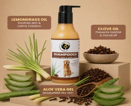 Fur Ball Story Shampooch For Healthy Skin & Shiny Coat, 200 ML at ithinkpets.com 2