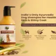 Fur Ball Story Shampooch For Healthy Skin & Shiny Coat, 200 ML at ithinkpets.com 3