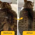 Fur Ball Story Shampooch Meow Care Cat Shampoo, 200 ML at ithinkpets.com 8