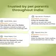 Fur Ball Story Shampooch Tick Free, Tick Preventive Dog Shampoo, 200 ML at ithinkpets.com 8