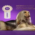 Hydra Experience Expert Grooming Powder, 100 GM at ithinkpets.com 3