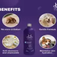Hydra Groomers Extra Soft Facial Shampoo for Dogs & Cats, 1 Litre at ithinkpets.com 4