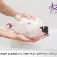 Hydra Groomers Odour Neutralizing Shampoo for Dogs & Cats, 1 Litre at ithinkpets.com 5
