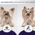 Hydra Groomers Odour Neutralizing Shampoo for Dogs & Cats, 1 Litre at ithinkpets.com 6