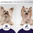Hydra Groomers Silky Smooth Shampoo for Dogs & Cats, 1 Litre at ithinkpets.com 6