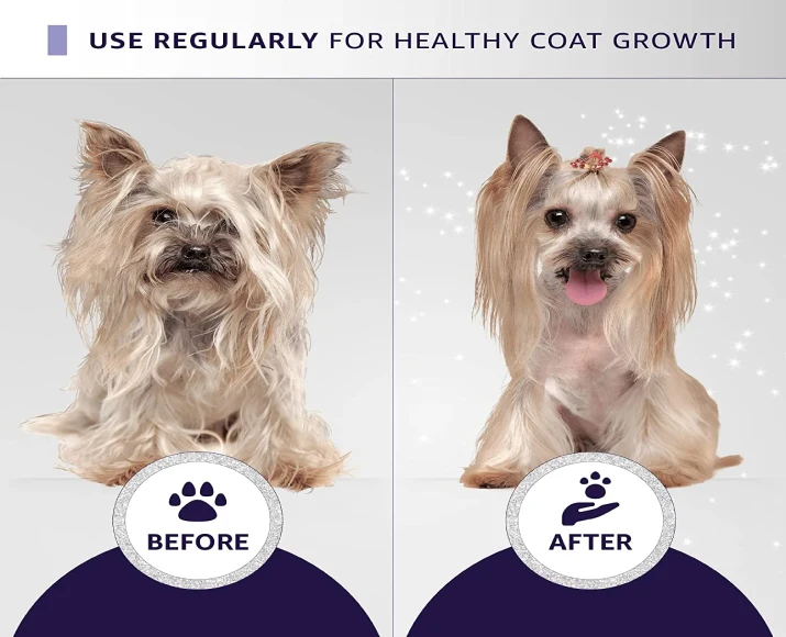Hydra Groomers Silky Smooth Shampoo for Dogs & Cats, 1 Litre at ithinkpets.com 6