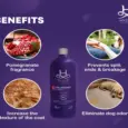 Hydra Groomers Volumizing Shampoo for Dogs & Cats, 1 Litre at ithinkpets.com 4