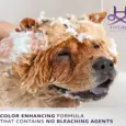 Hydra Groomers Whitening Shampoo for Dogs & Cats, 2 Sizes at ithinkpets.com 6