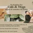 Hydra Vegan Detox Shampoo for Dogs & Cats, 1 Litre at ithinkpets.com 9