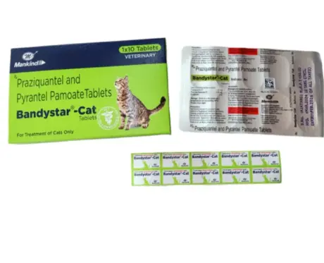 Mankind Bandystar Deworming Cat Tablets, 10 Tablets at ithinkpets.com 2