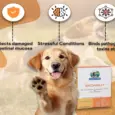 Skonner Pharma Skongut for Oral Rehydration with Pre & Probiotic, 6 Sachets at ithinkpets.com 3