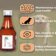 Skonner Pharma Wiktervet DC Multivitamins Syrup Supplement for Dog & Cat, 200 ML at ithinkpets.com 2