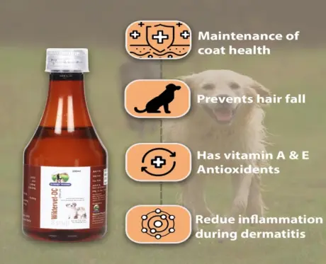 Skonner Pharma Wiktervet DC Multivitamins Syrup Supplement for Dog & Cat, 200 ML at ithinkpets.com 2