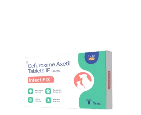 Tineta InfectiFIX, Cefuroxime Axetil Tablets for Dogs & Cats, 10 Tablets at ithinkpets.com 2