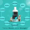 Venttura Amino Plus Dog Syrup, 150 ML at ithinkpets.com 2