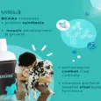 Venttura Amino Plus Dog Syrup, 150 ML at ithinkpets.com 6