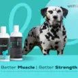 Venttura Amino Plus Dog Syrup, 150 ML at ithinkpets.com 7