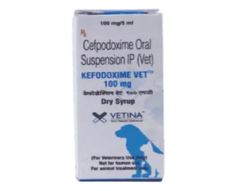 Vetina Kefodoxime Vet 100 MG Syrup (Cefpodoxime Proxetil) for Dogs and Cats, 30 ML at ithinkpets.com 1