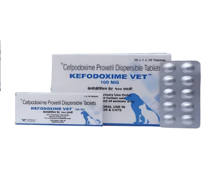 Vetina Kefodoxime Vet 100 MG Tablet (Cefpodoxime Proxetil) for Dogs and Cats at ithinkpets.com 1