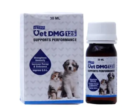 Vetina Vet Dmg for Dogs and Cats, 15 ML at ithinkpets.com 1 (2)