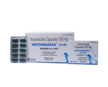 Vetina Vetconazole 100 MG (Itraconazole) Capsules at ithinkpets.com 1 (1)