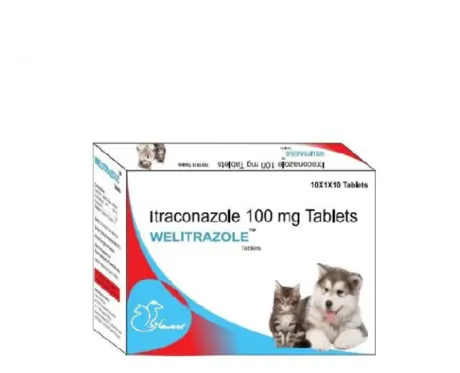Welkine Welitrazole Tablets for Dogs & Cats, 10 Tablets at ithinkpets.com 1 (1)
