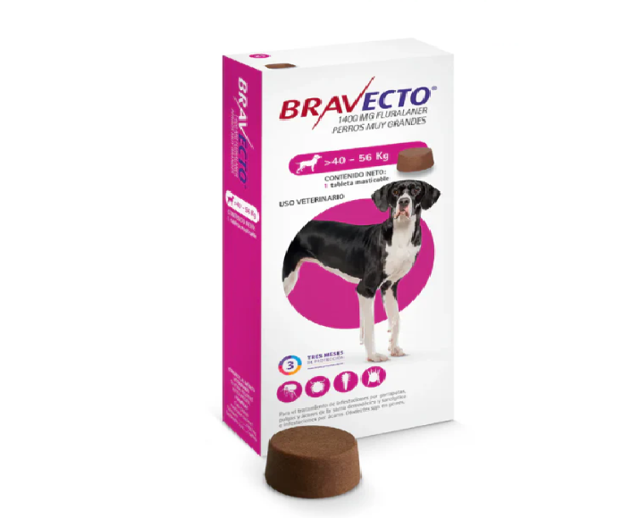 Bravecto Tick And Flea Chewable Tablet Dogs, 40 to 56 KG at ithinkpets.com 1 (2)