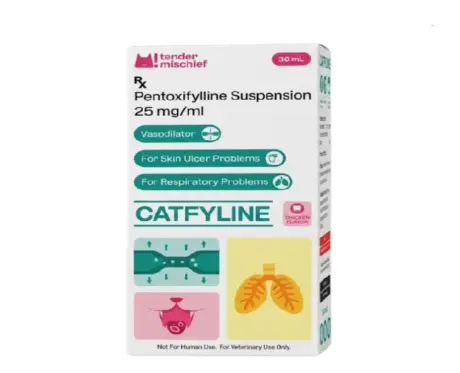 Corise Catfyline Syrup, Pentoxifylline Syrup for Cats, 30 ML at ithinkpets.com 1 (1)