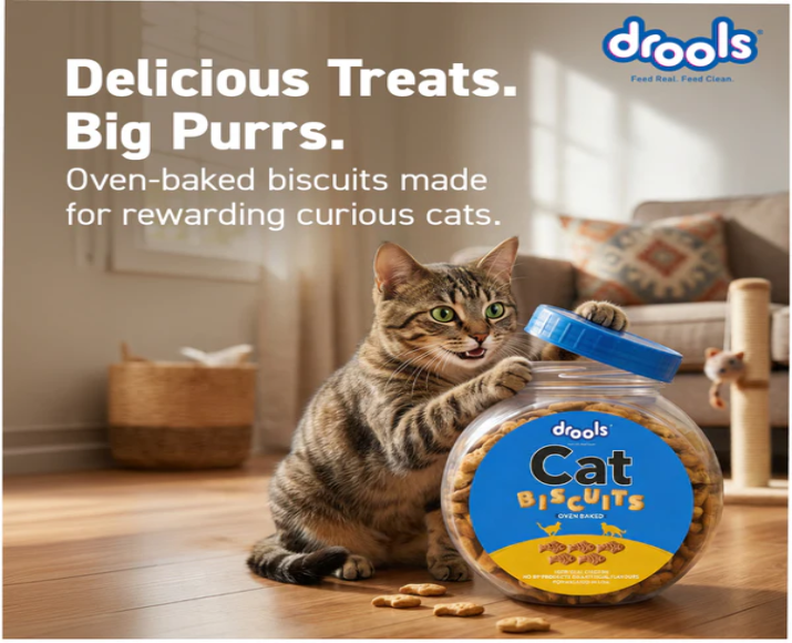 Drools Biscuit Cat Treat for Cats & Kittens, 400 GM at ithinkpets.com 5