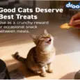 Drools Biscuit Cat Treat for Cats & Kittens, 400 GM at ithinkpets.com 7