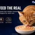 Drools Chicken Mousse Adult Cat Wet Food, 80 GM at ithinkpets.com 3