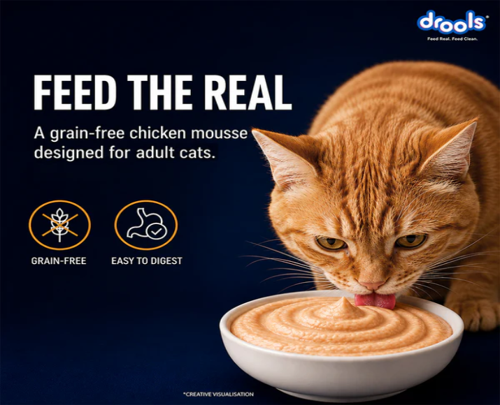 Drools Chicken Mousse Adult Cat Wet Food, 80 GM at ithinkpets.com 3