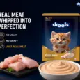 Drools Chicken Mousse Kitten Cat Wet Food, 80 GM at ithinkpets.com 2