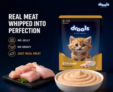 Drools Chicken Mousse Kitten Cat Wet Food, 80 GM at ithinkpets.com 2