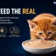 Drools Chicken Mousse Kitten Cat Wet Food, 80 GM at ithinkpets.com 3