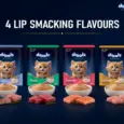 Drools Chicken Mousse Kitten Cat Wet Food, 80 GM at ithinkpets.com 9