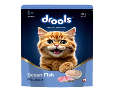 Drools Ocean Fish Mousse Adult Cat Wet Food, 80 GM at ithinkpets.com 2