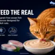 Drools Ocean Fish Mousse Adult Cat Wet Food, 80 GM at ithinkpets.com 4