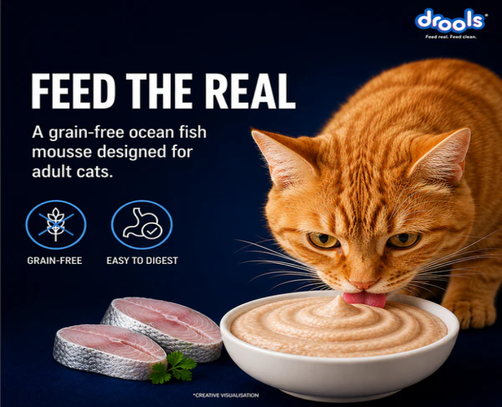 Drools Ocean Fish Mousse Adult Cat Wet Food, 80 GM at ithinkpets.com 4