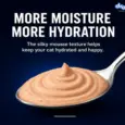 Drools Ocean Fish Mousse Adult Cat Wet Food, 80 GM at ithinkpets.com 7