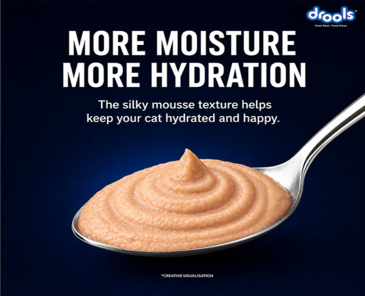 Drools Ocean Fish Mousse Adult Cat Wet Food, 80 GM at ithinkpets.com 7