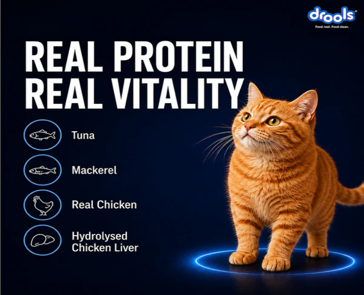 Drools Ocean Fish Mousse Adult Cat Wet Food, 80 GM at ithinkpets.com 8